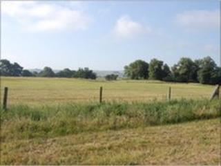 Marden Henge