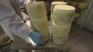 Cornish Blue cheese