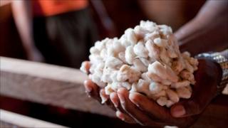 Fresh cocoa beans