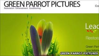 Green Parrot website