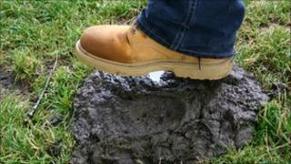 Cow pat and boot
