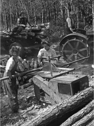 Lumberjills at work during the Second World War. Photo: Forestry Commission