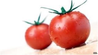 Tomato genome science