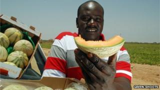 A melon seller in Senegal