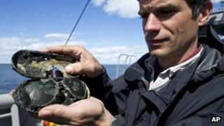 Forensic anthropologist Dr Stefan Claeson shows off a pair of aviation glasses recovered by divers earlier 25 July 2012