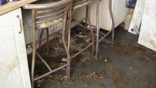 Floor covered in dog waste