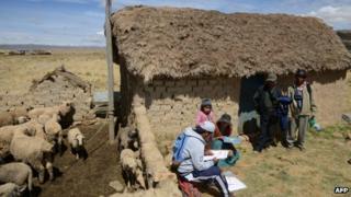 Bolivian census-taker