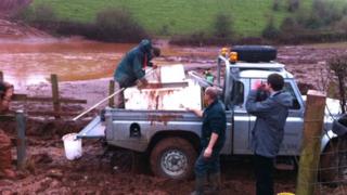 The fish were rescued after being washed into a field from the Grand Western Canal