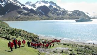 Antarctic tourists
