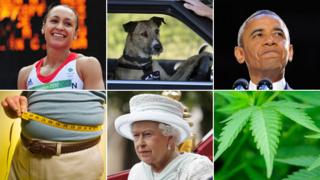 Clockwise from top left: Jessica Ennis, driving dog, Barack Obama, marijuana plant, Queen Elizabeth II, tape meausre around waistline