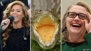 Beyonce, a crocodile, Hillary Clinton