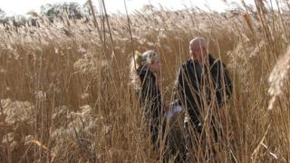 Chris Watson in reed beds