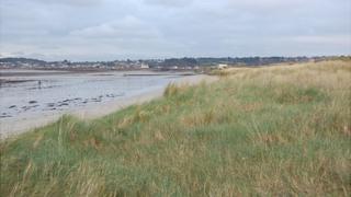 Vazon sand dunes covered in maram grass