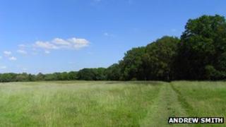 Boxford Common, West Berkshire