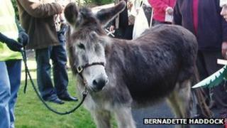 Wonkey the donkey at Palm Sunday service