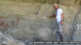 Dahalokely discovery site