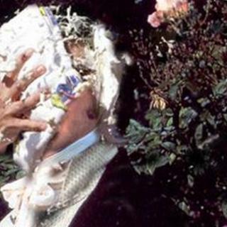 A man dressed as Mr Darcy gets a custard pie thrown in his face.