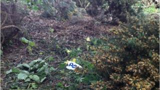 Corstorphine Hill