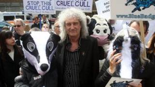 Brian May badger protest