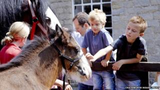 Children pet a horse