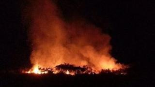 Furze Fire at Gorey