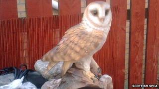 Owl ornament