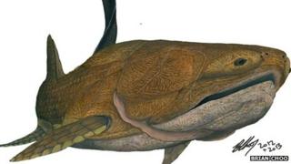 Entelognathus primordialis