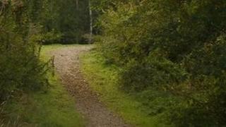 Nutbrook Trail
