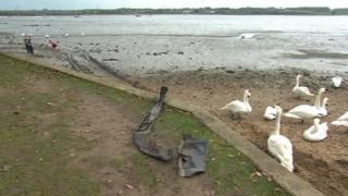 Mistley car into the water