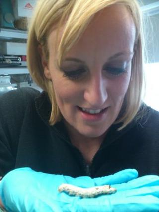 Steph McGovern with a silk worm