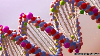 DNA
