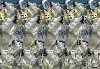 Magic Eye