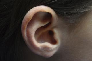 ear
