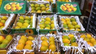Boxes of mangoes