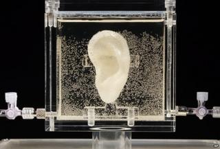 Vincent van Gogh replica ear