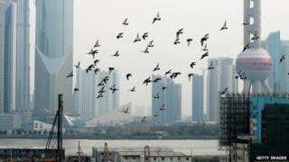 Shanghai