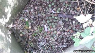 Tennis balls blocking a sewer in Melton Mowbray sewer