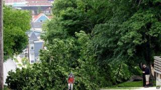 Trees brought down by storm in Dartmouth, Nova Scotia. 5 July 2014