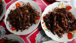 Fried insects on a plate