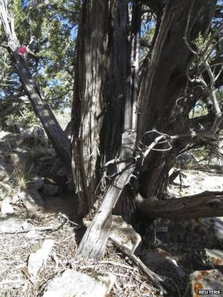 The rifle as it was found in the Great Basin National Park