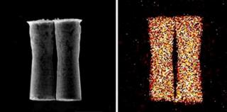 Micro-motors