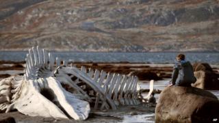 Still from Leviathan