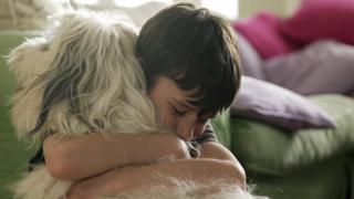 Pet dog