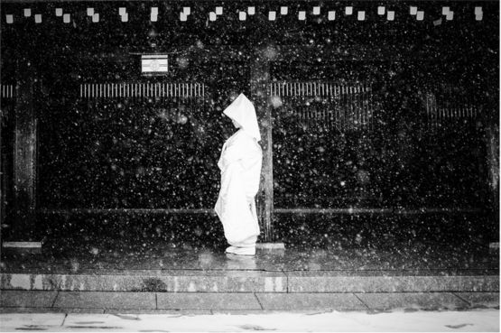 Χιονισμένο νύφη του Stephane Mangin