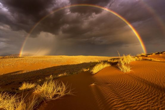 Βροχή στην έρημο από τον Stefan Forster
