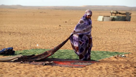 Western Sahara: Morocco to pull out of UN buffer zone Western Sahara: Morocco to pull out of UN buffer zone