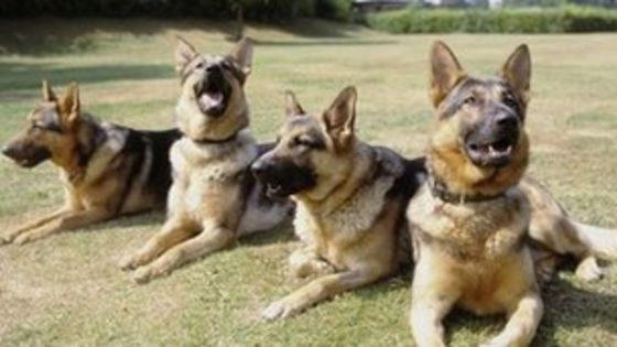 msimn.exe a rencontre un probleme