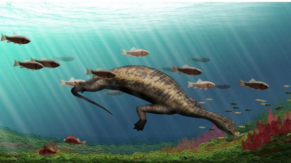 Fossil reconstruction