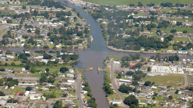 This is what healthy land, protected by levees, looks like