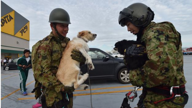 Military servicemen hold dogs during a mission to evacuate people from the roof of a flooded shopping centre via helicopter in the city of Joso